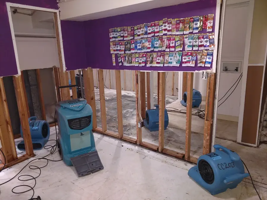 Standing water extracted from a tile floor in a Coachella Valley home