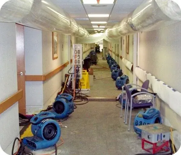 Air movers and dehumidifiers drying a Rancho Mirage room